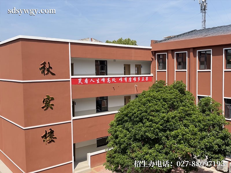 湖北省世达实用外国语学校-教学楼1.jpg